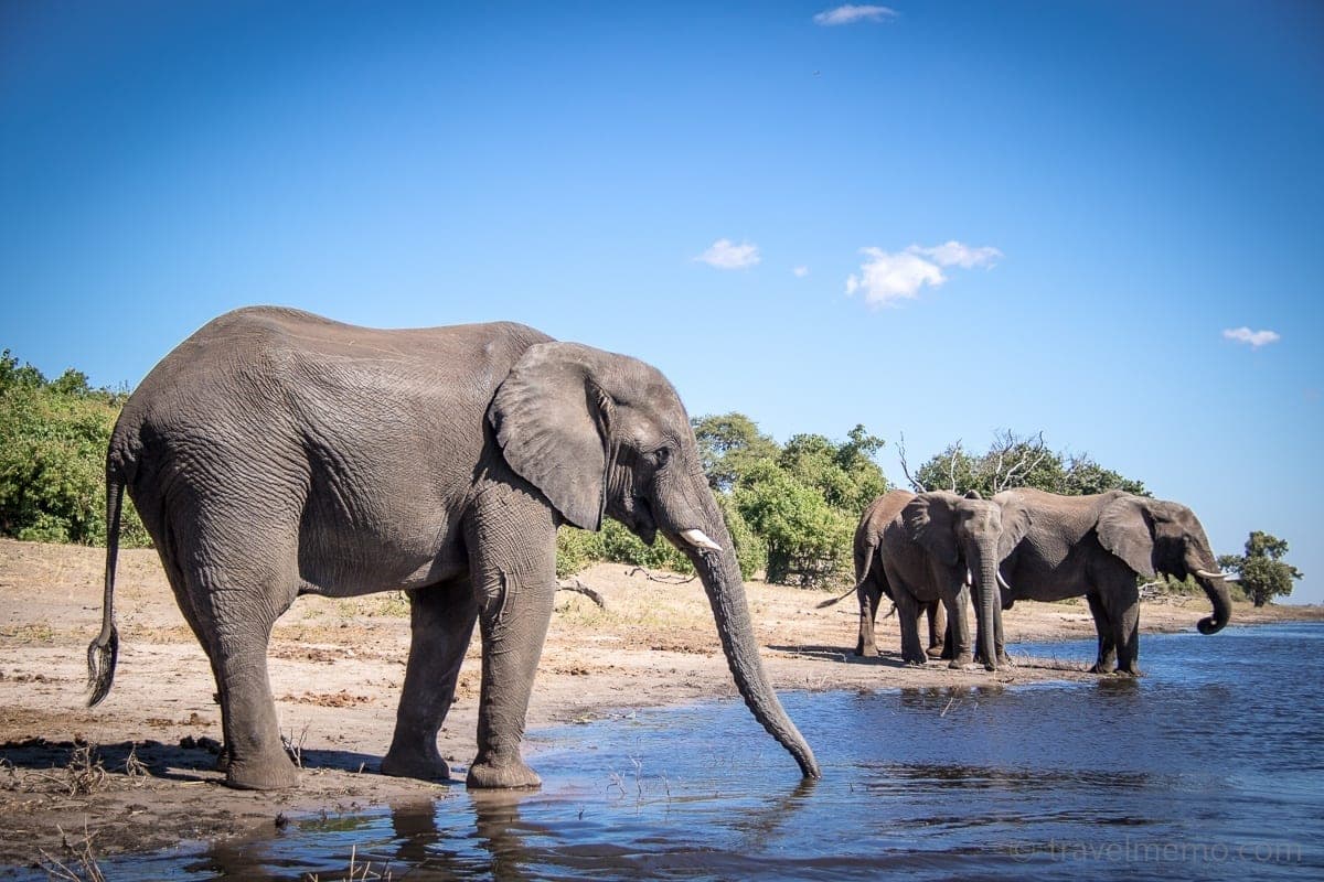 Chobe, Botswana