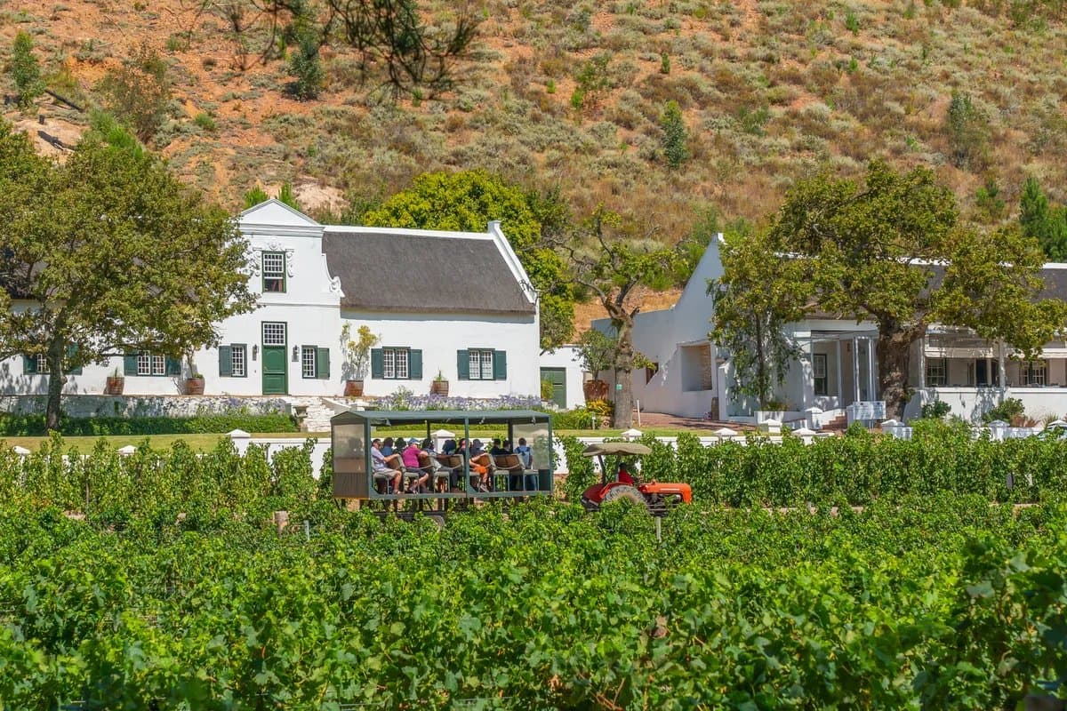 Cape Dutch wine estate in the Winelands