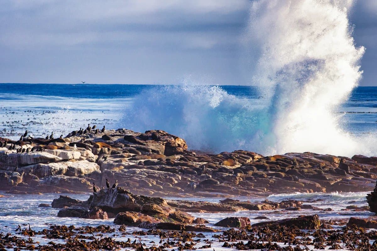 Rugged Garden Route shoreline