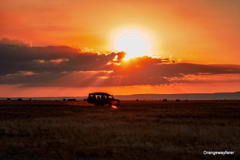 Safari vehicle at sunset in the Masai Mara