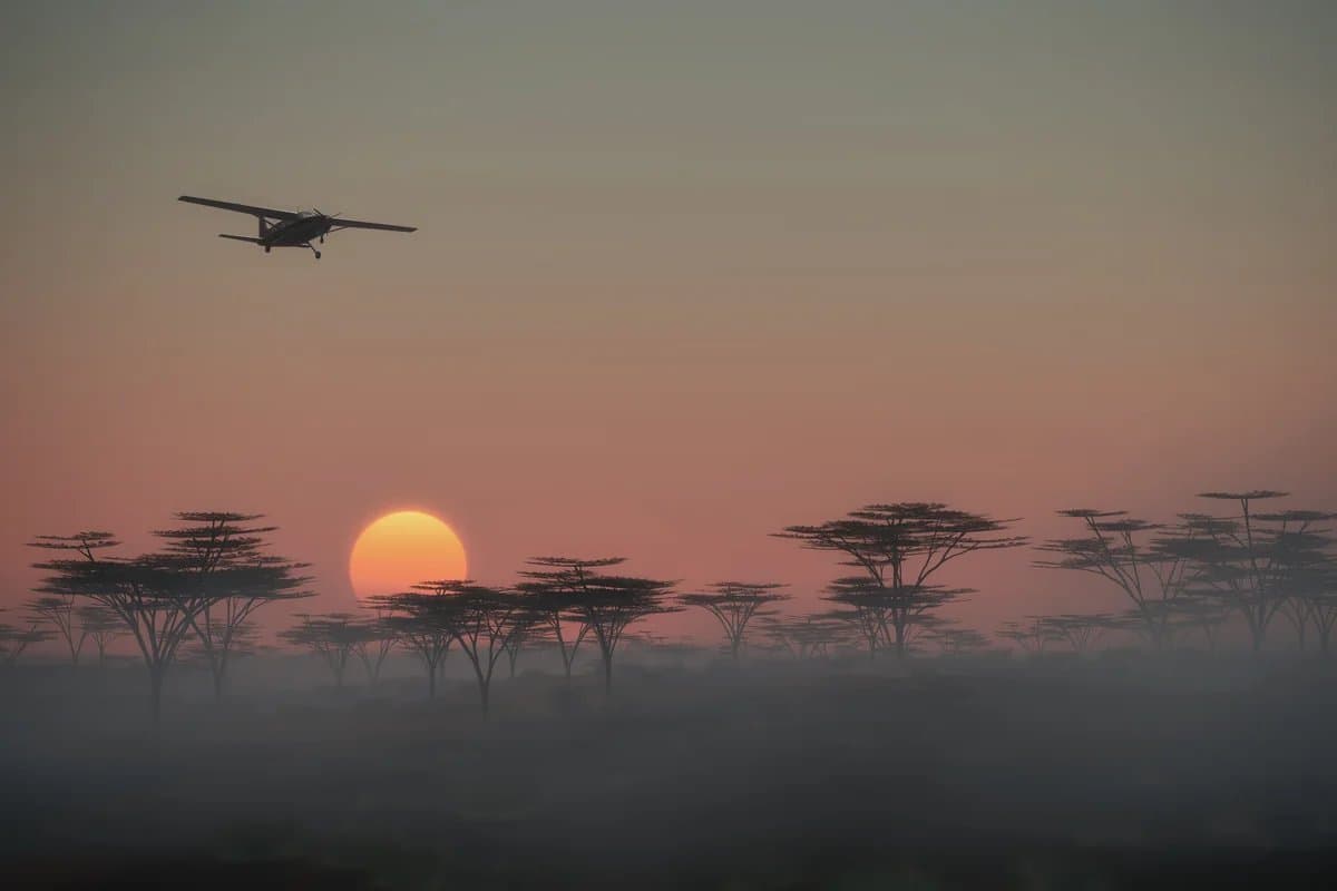 Scenic flight over the Okavango Delta