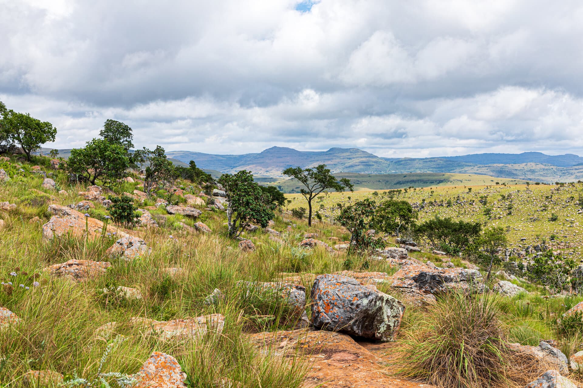 The emerald Blyde River Canyon seen from a Panorama Route viewpoint