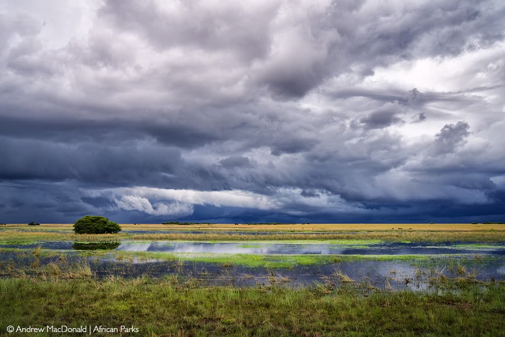 Flooded grasslands, Liuwa Plain