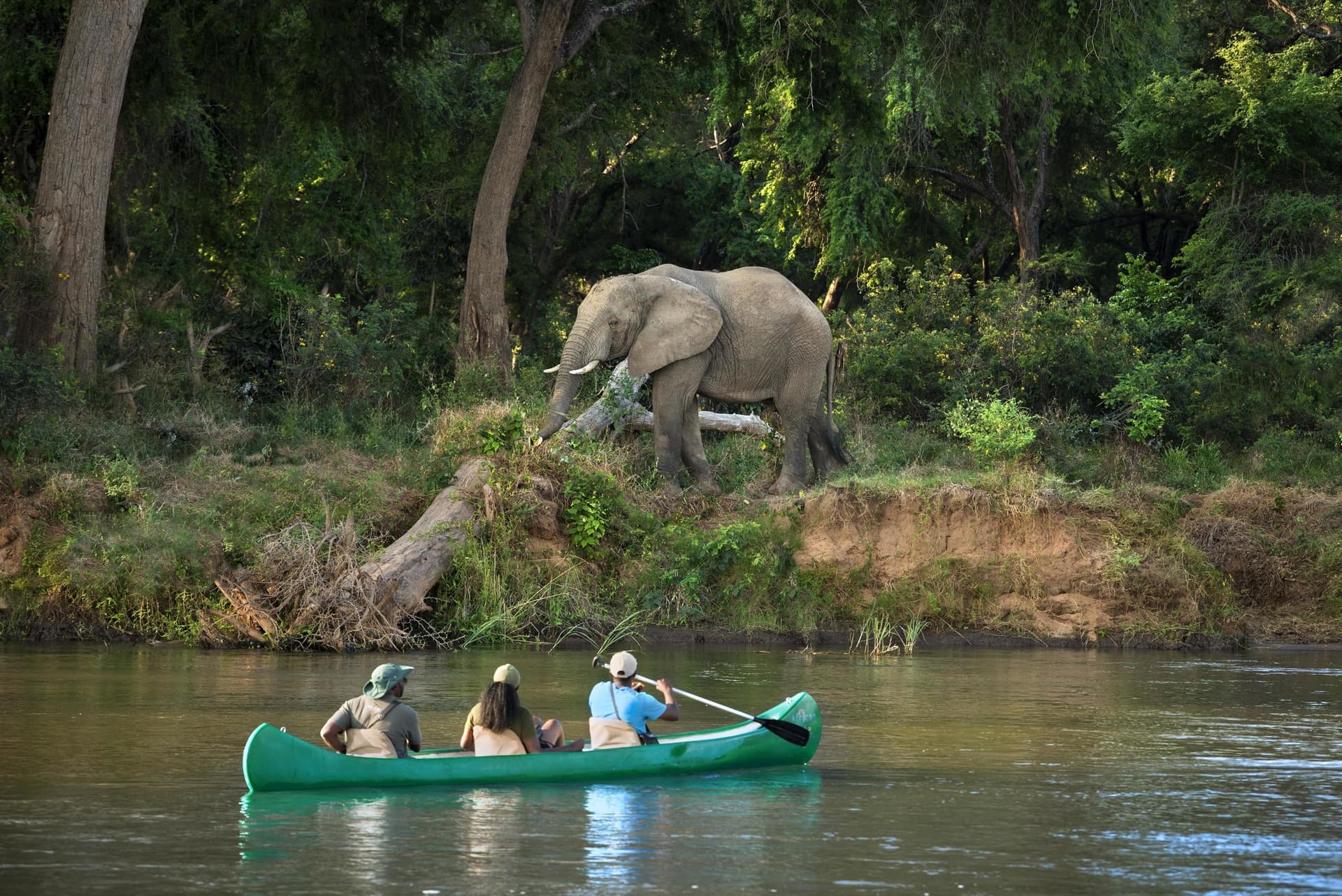 Lower Zambezi canoe safari golden hour