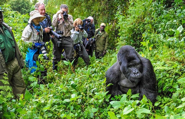 Bwindi, Uganda