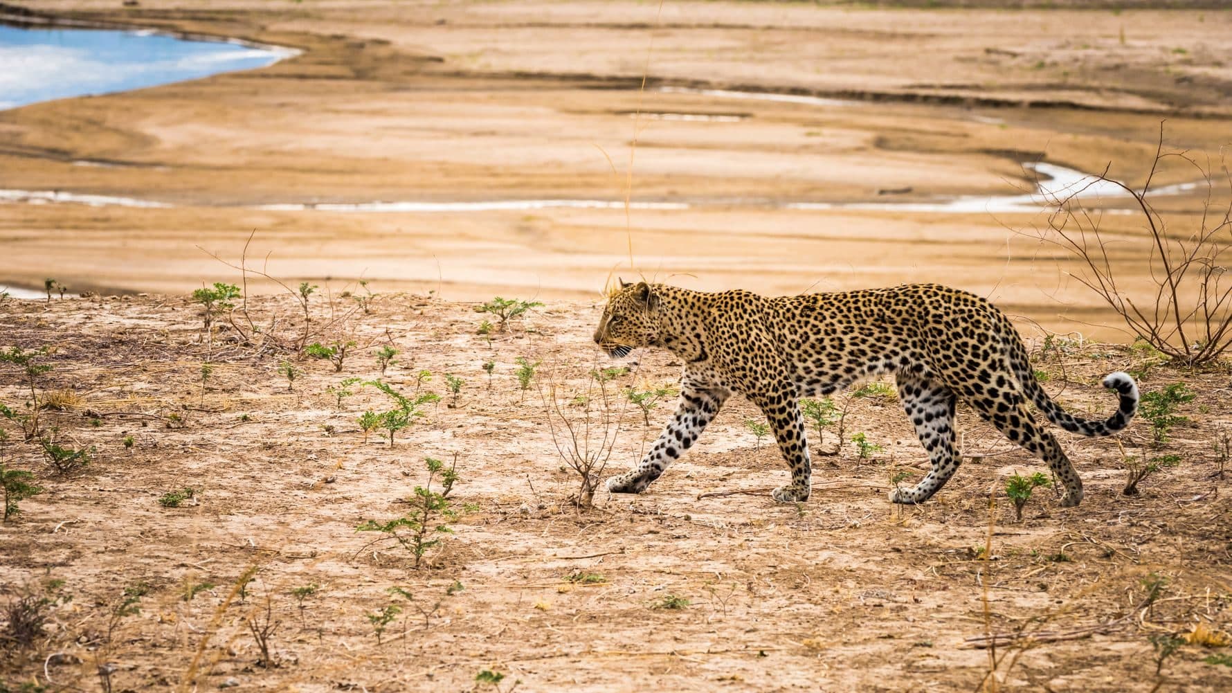 Kafue, Zambia