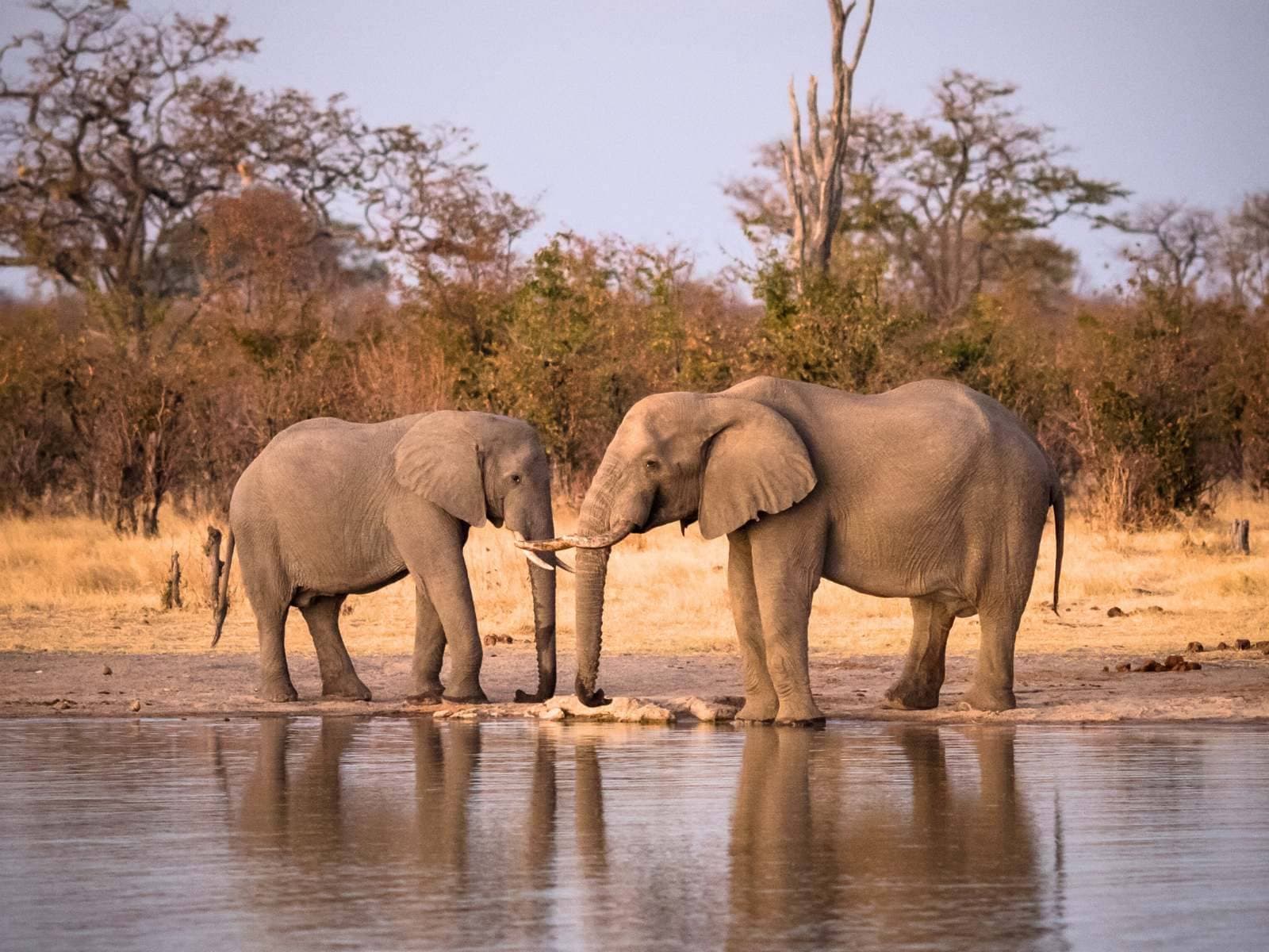 Hwange, Zimbabwe