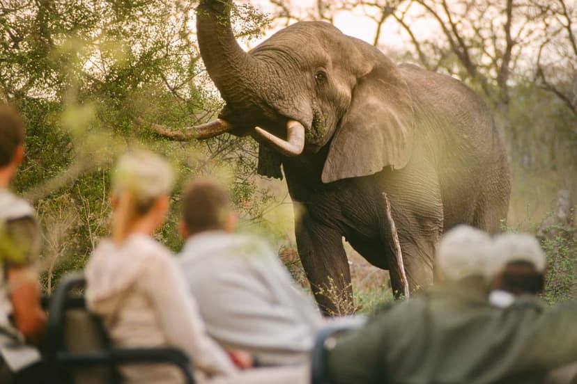 Hwange Value Safari — 4 Days