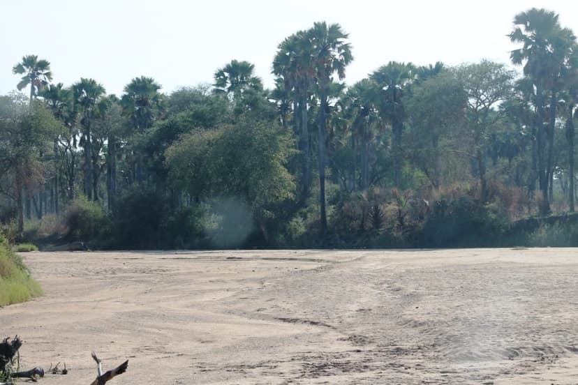 Kidepo Wilderness Safari — 4 Days