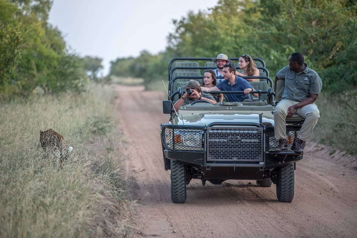 Private Concession Game Drives in Kruger National Park