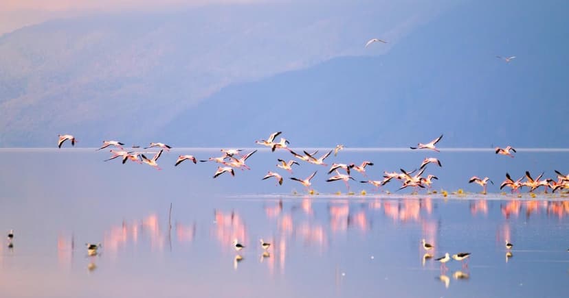 Lake Manyara Northern Gateway