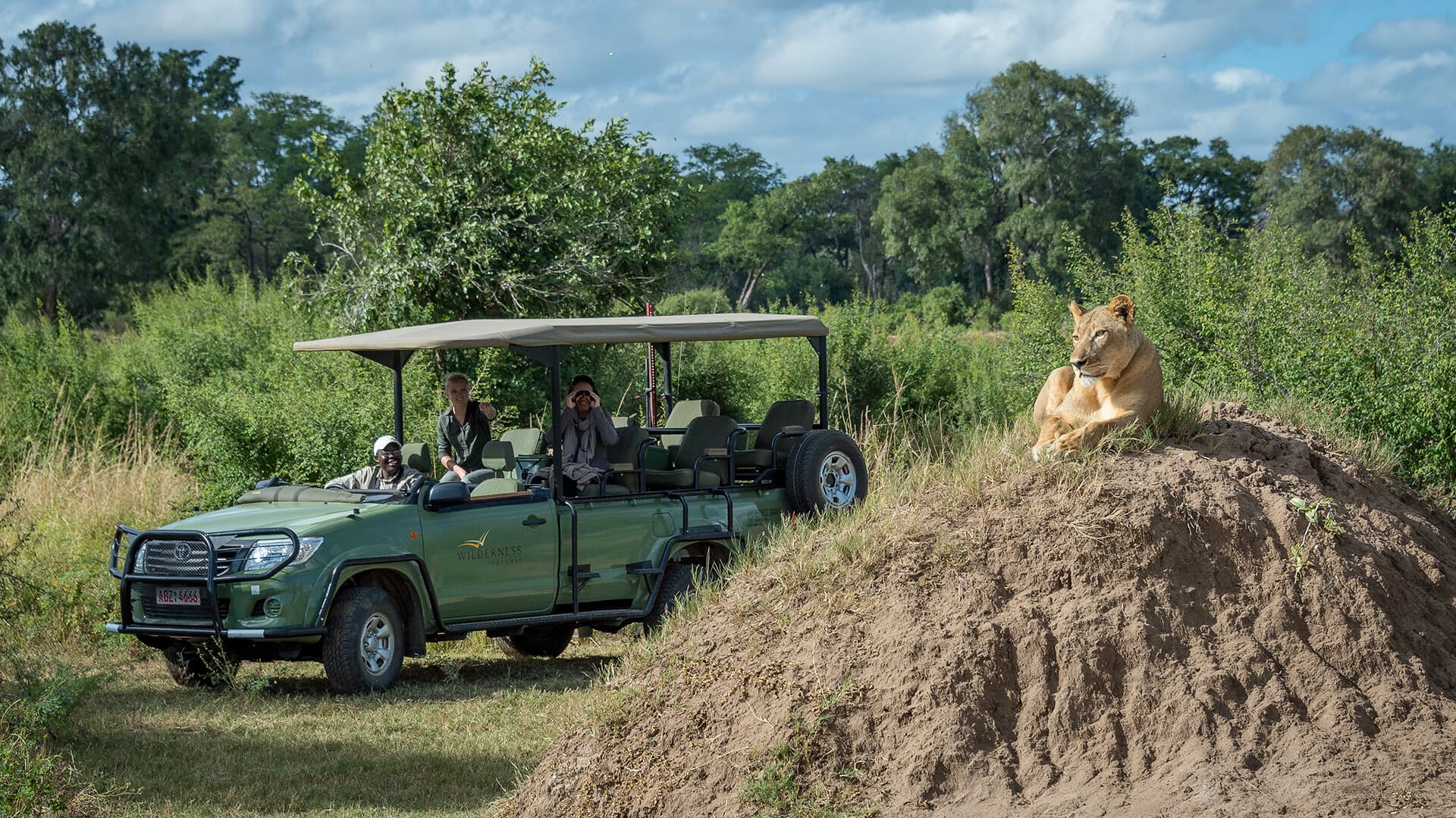 Guests watching a lioness from an open safari vehicle on a Mana Pools game drive