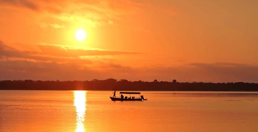 Nyerere Rufiji River Safari