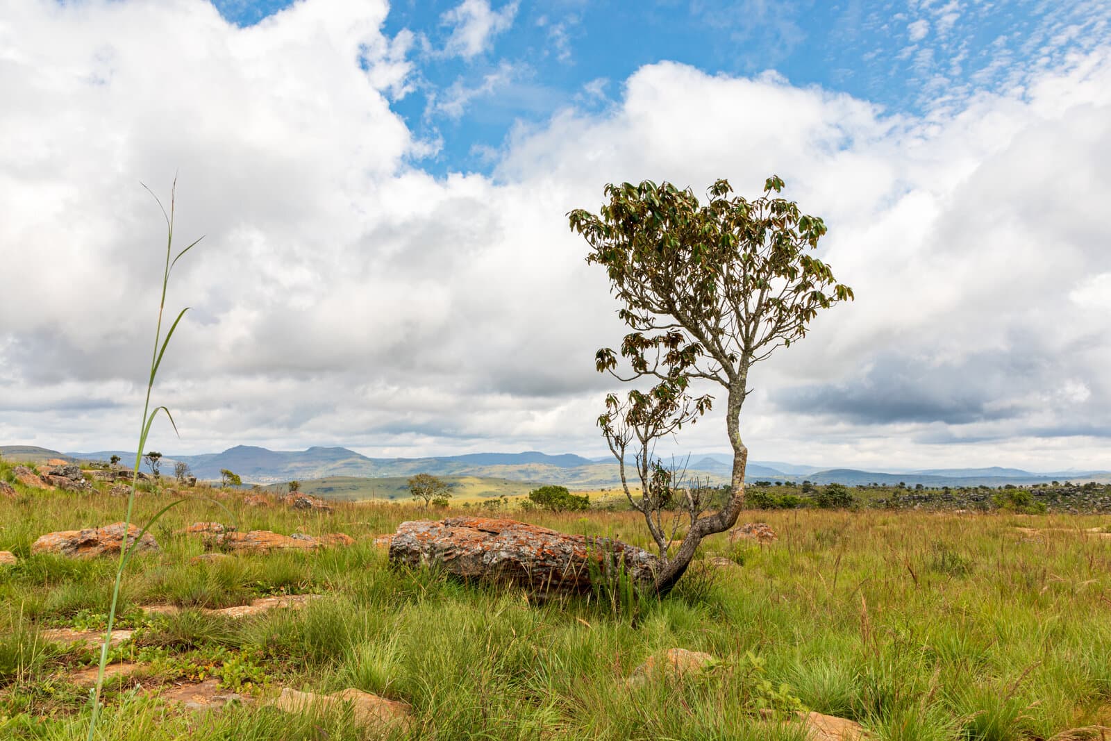 The Blyde River winding through its green canyon in Mpumalanga