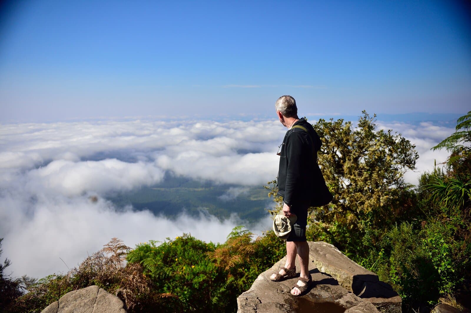 The sweeping lowveld vista seen from God's Window on the Panorama Route