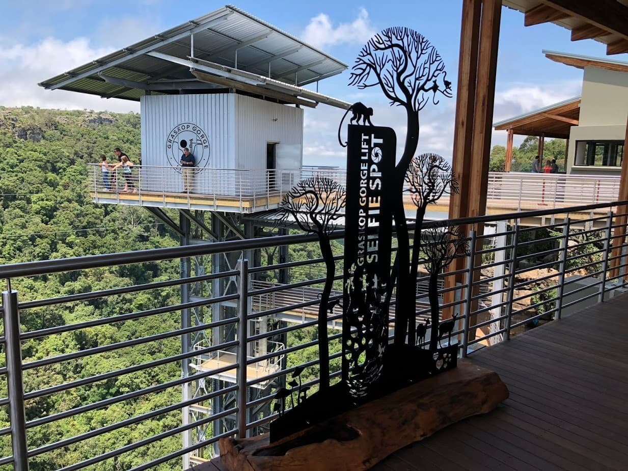 The glass Graskop Gorge Lift descending into the indigenous forest