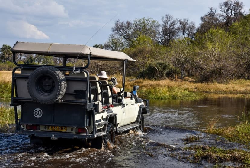 Linyanti Wild Dog Safari