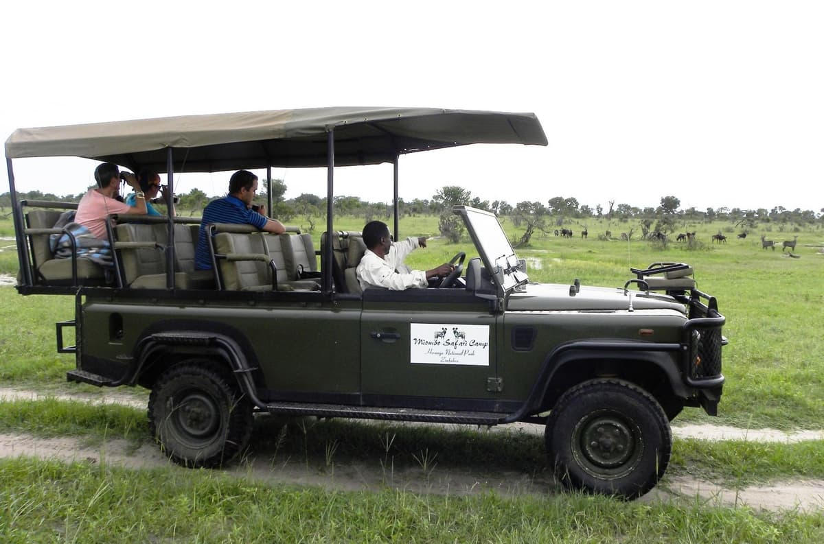 Miombo Safari Camp