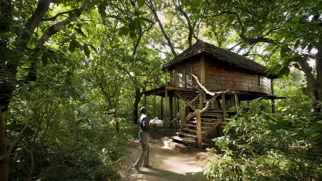 Lake Manyara Tree Lodge gallery