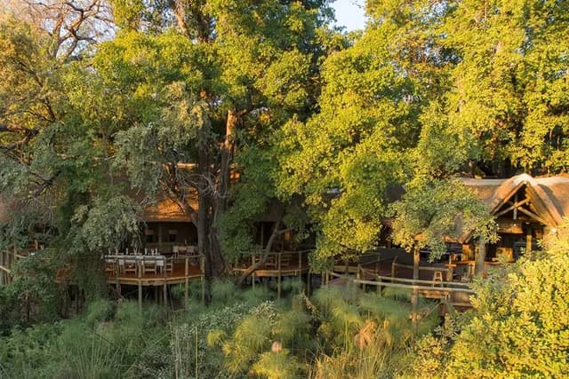 Camp Moremi gallery