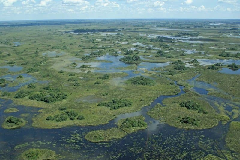 Okavango Delta waterways