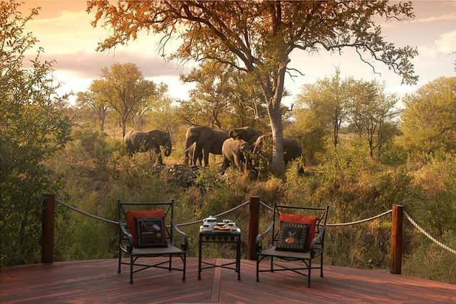 Hoyo Hoyo Safari Lodge gallery