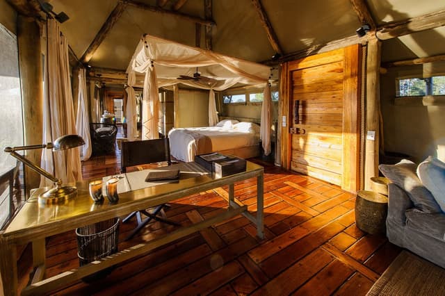Mombo Camp gallery