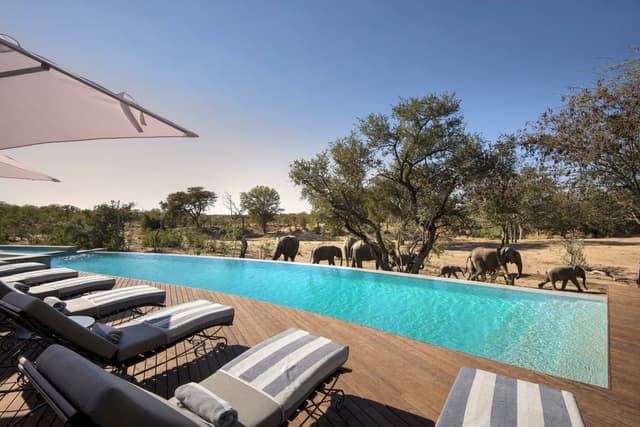 Ngala Safari Lodge gallery