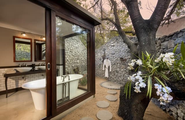 Ngala Safari Lodge gallery