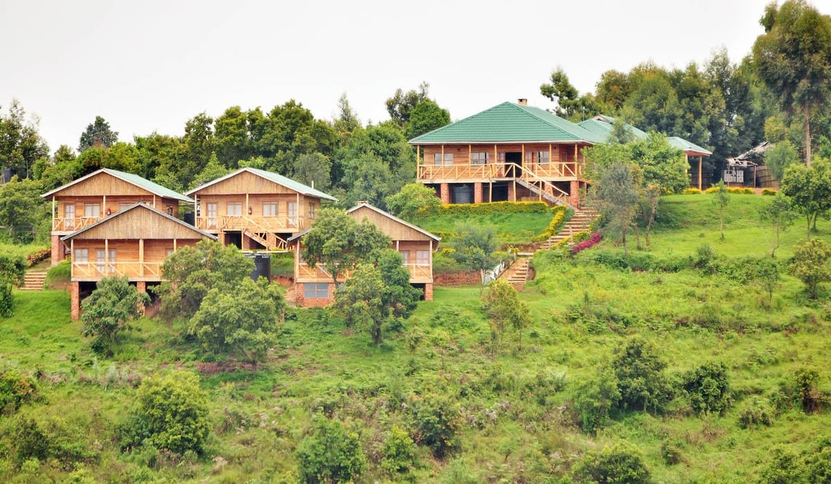 Bwindi Lodge