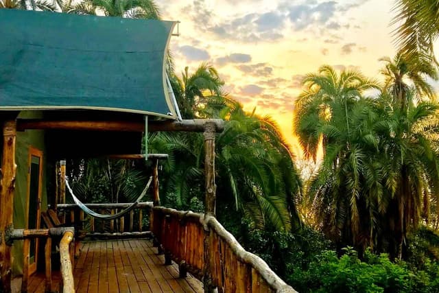 Ruzizi Tented Lodge gallery