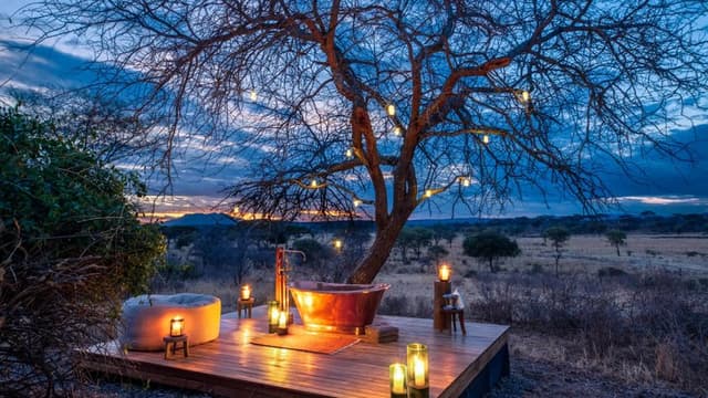 Mfuwe Lodge gallery