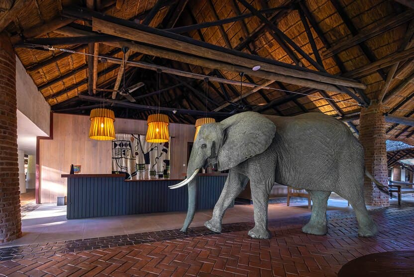 Game drive, South Luangwa