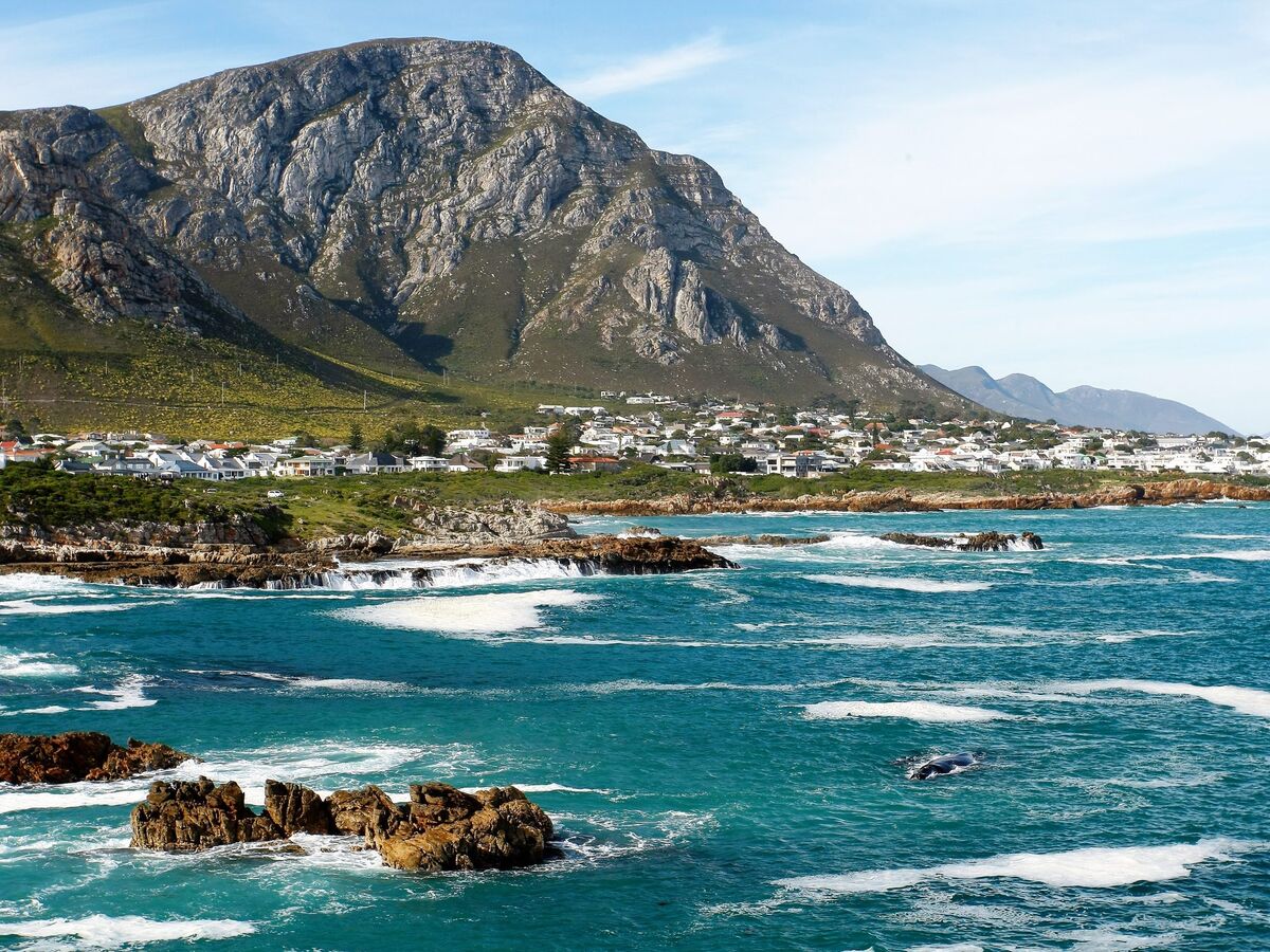 Seal Island boat cruise from Hout Bay Cape Town with Cape fur seal colony at Duiker Island