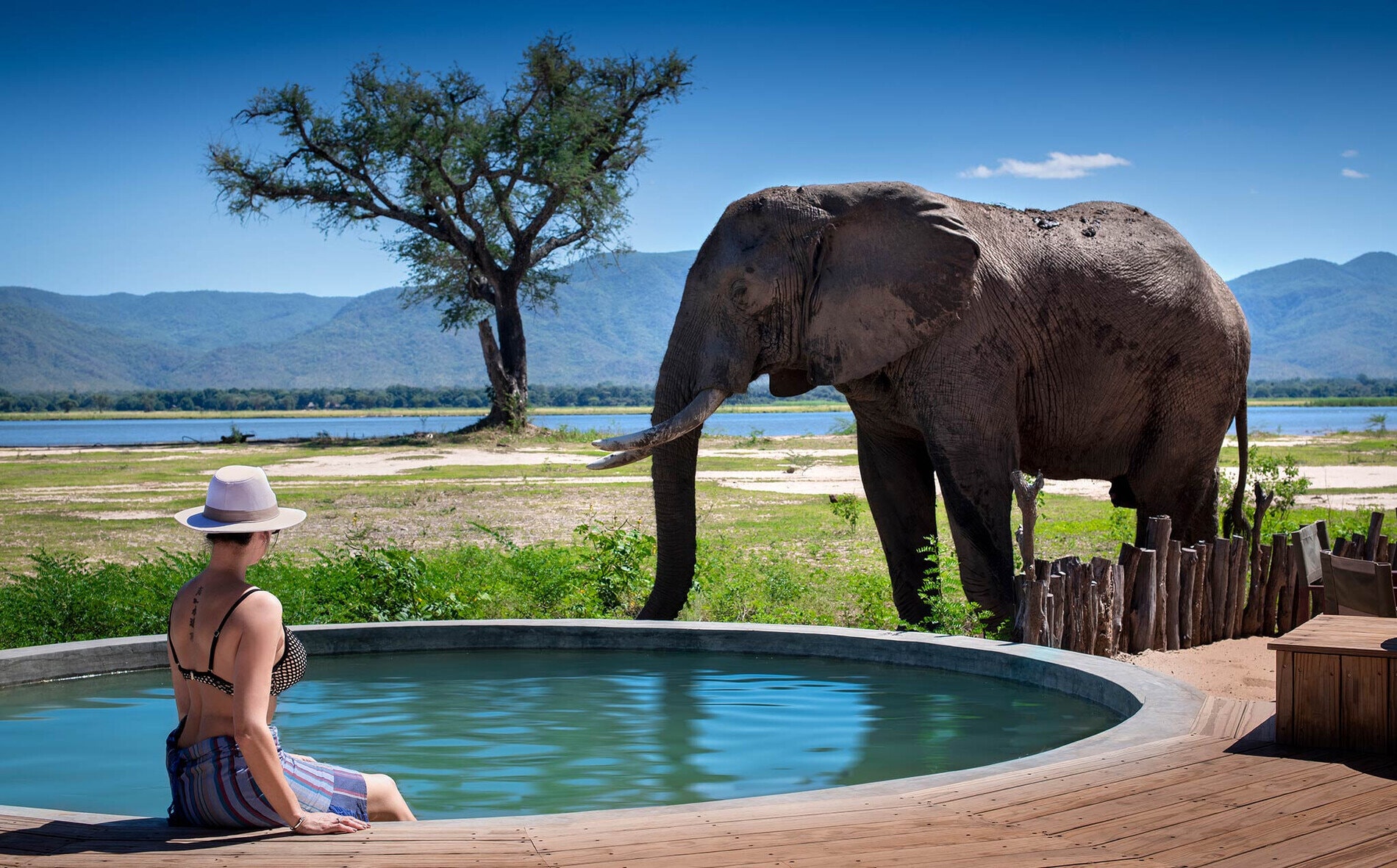 Elephant beside a river pool below the escarpment at Mana Pools, Zimbabwe