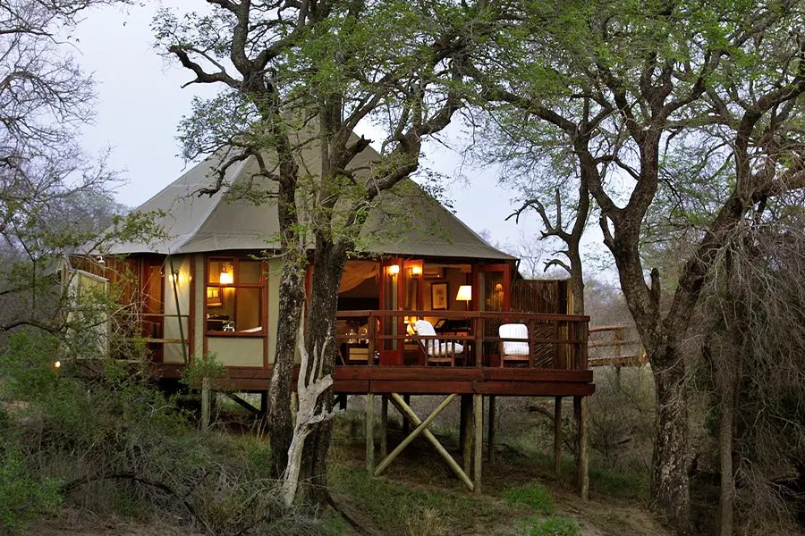 Hamiltons Tented Camp image 1