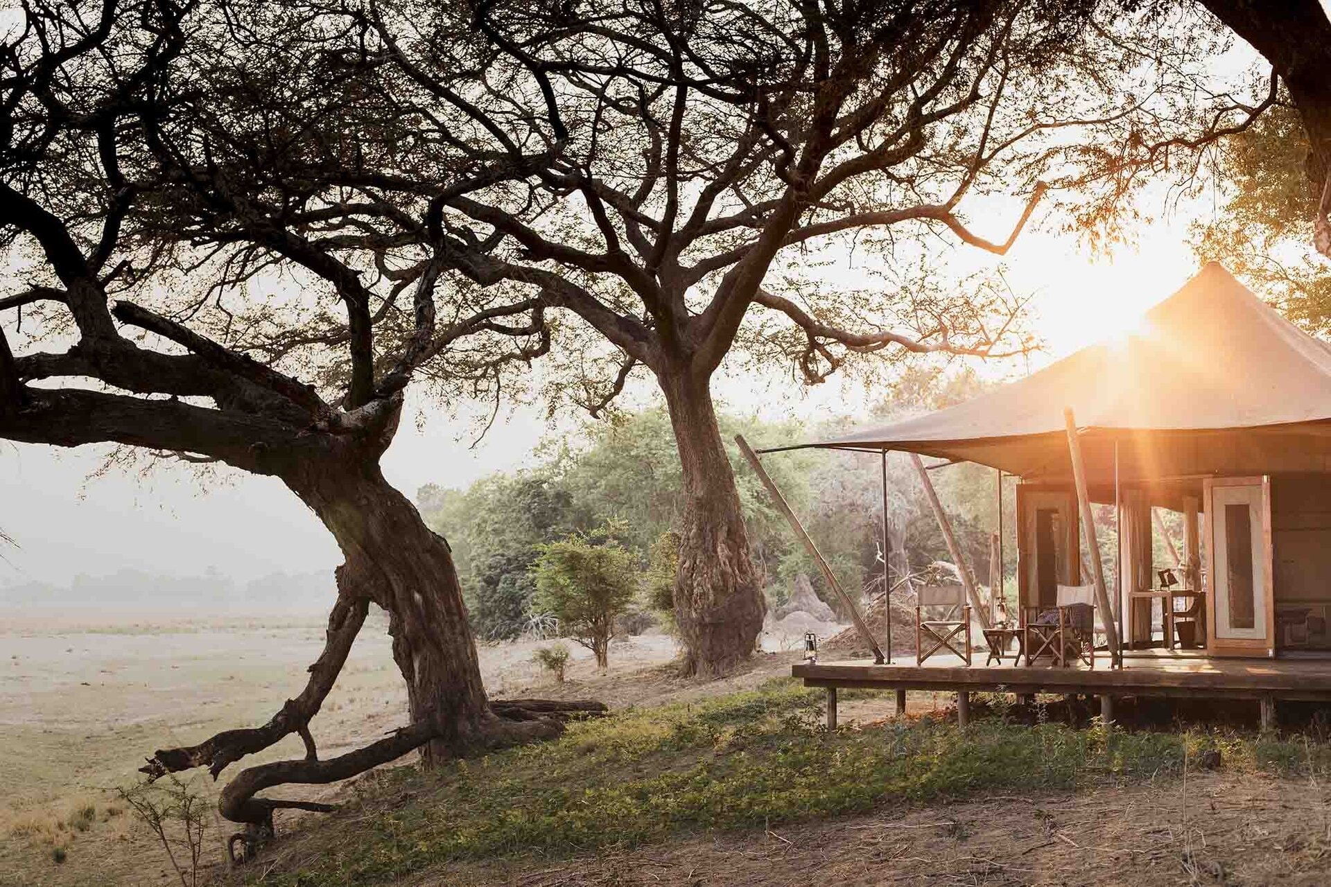 Ruckomechi Camp image 1