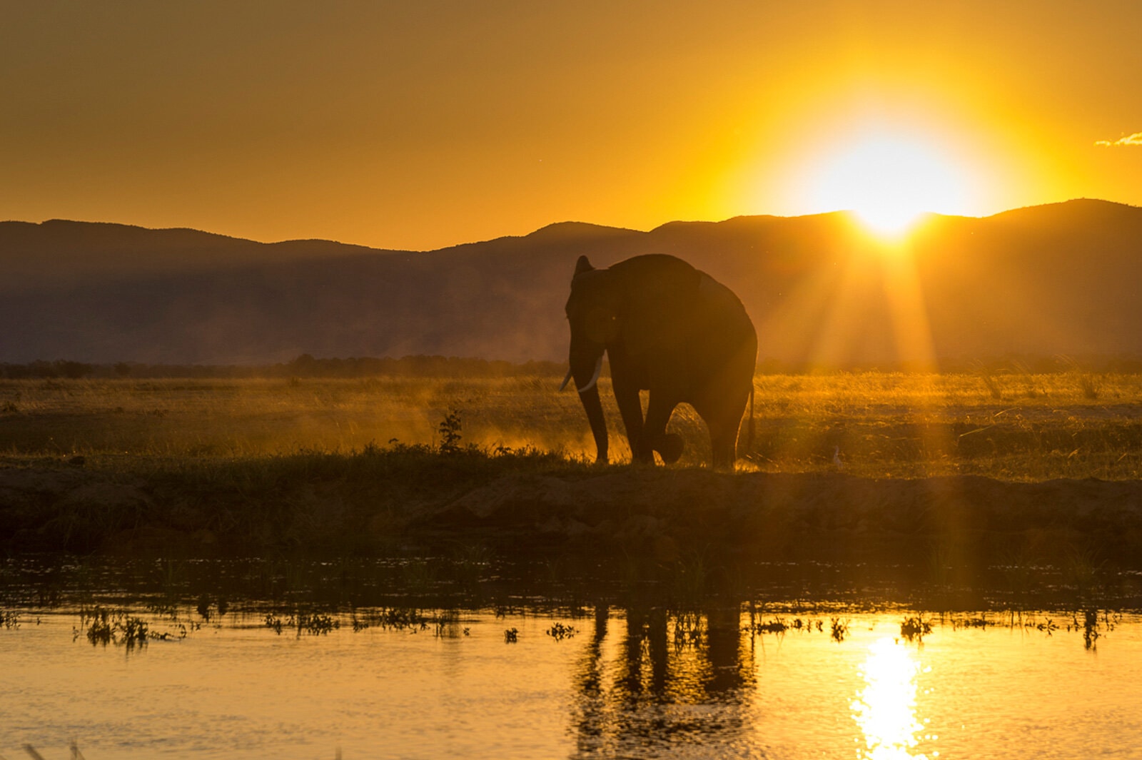 Zambezi Expeditions image 1