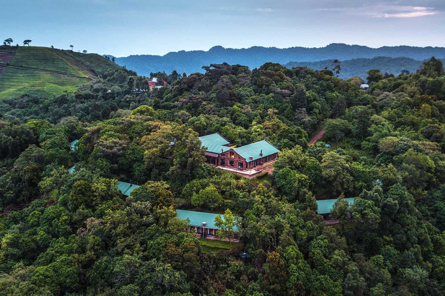 Clouds Mountain Gorilla Lodge image 1