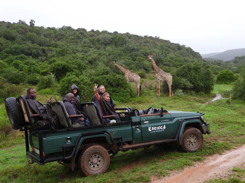 Giraffe on a Kariega game drive in the Eastern Cape
