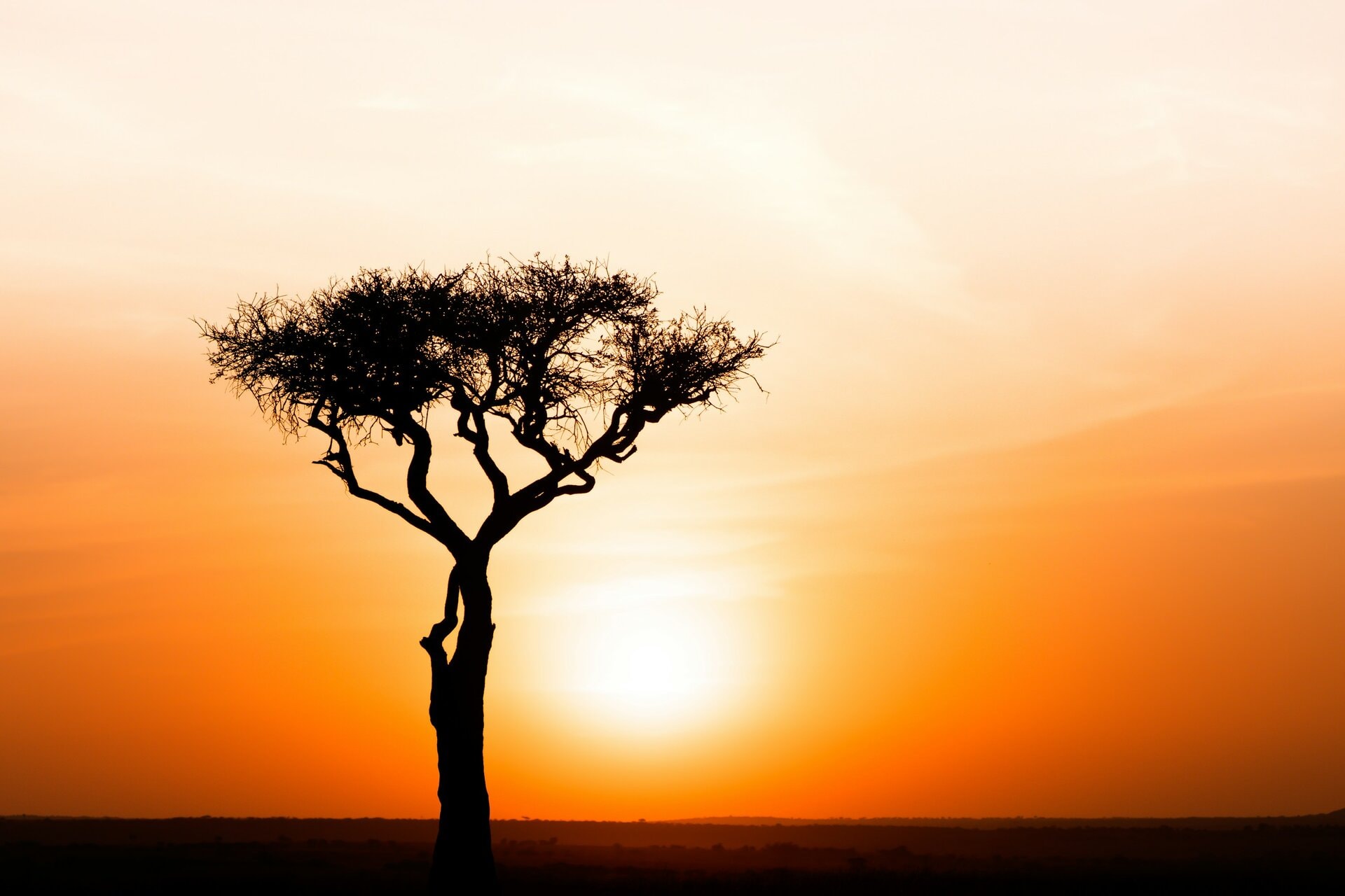 Kafue National Park — sunrise over the Busanga Plains, Zambia