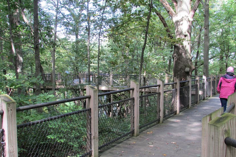 Nyungwe canopy bridge