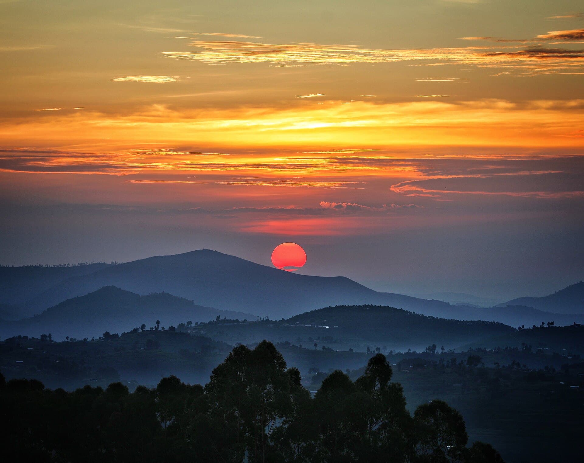 Nyungwe Forest National Park, undefined