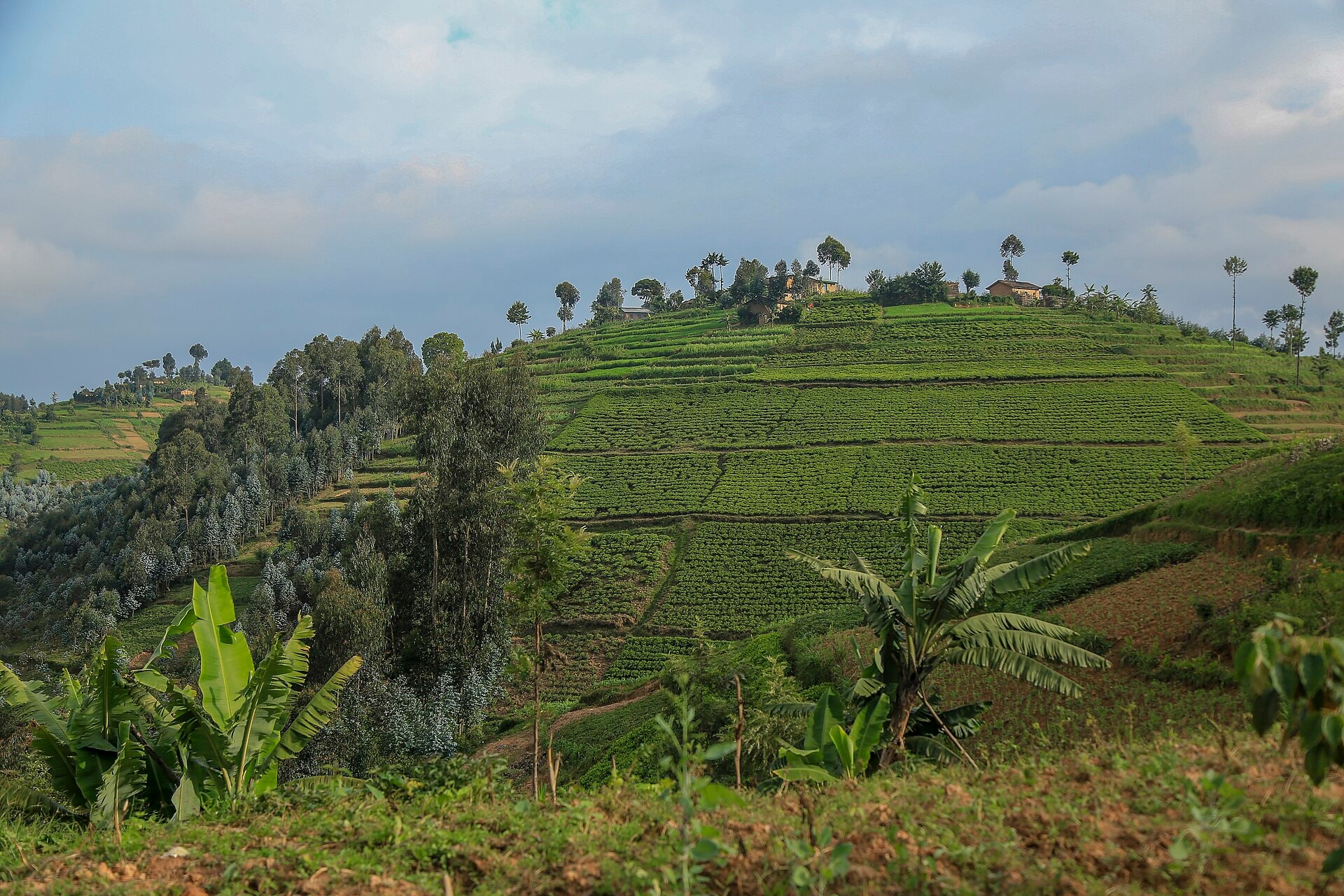 Lakeshore hills, Lake Kivu