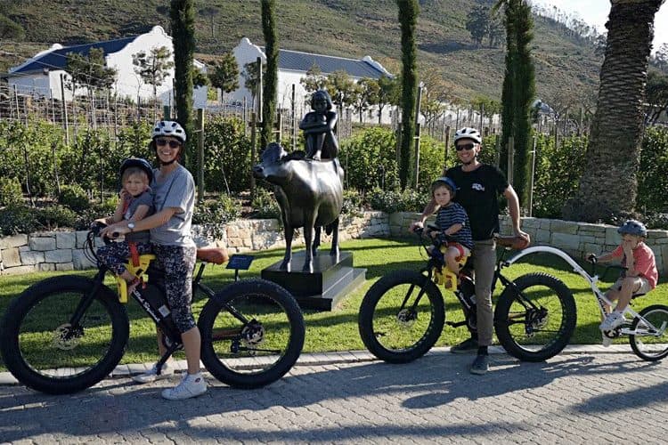E-Bike Cycling Tour Through Vineyards in Cape Winelands