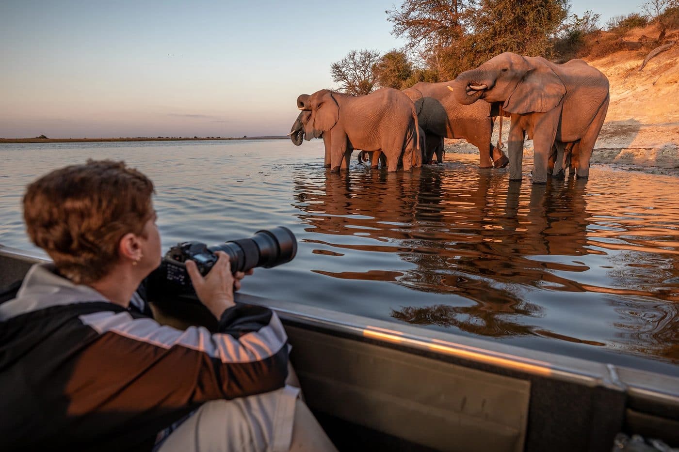 Photographic River Safari in Specialized Boats in Chobe National Park, Botswana