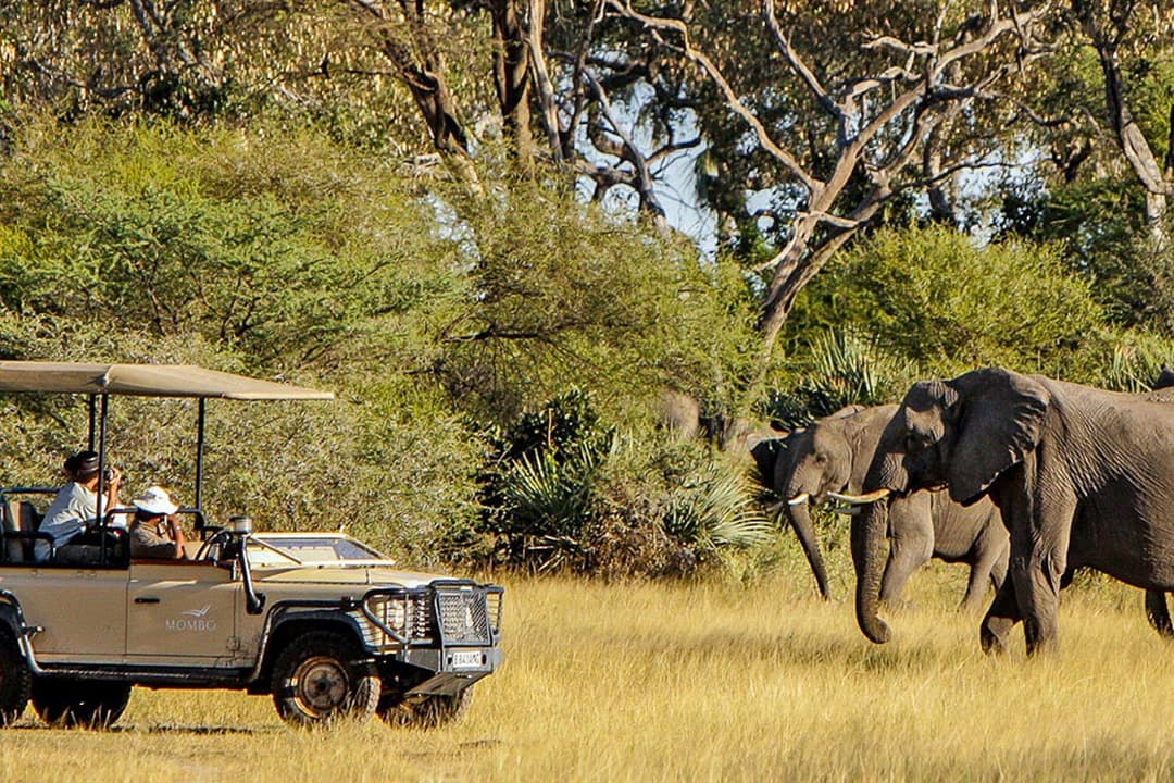 Kruger National Park Full-Day Open Vehicle Safari — Kruger