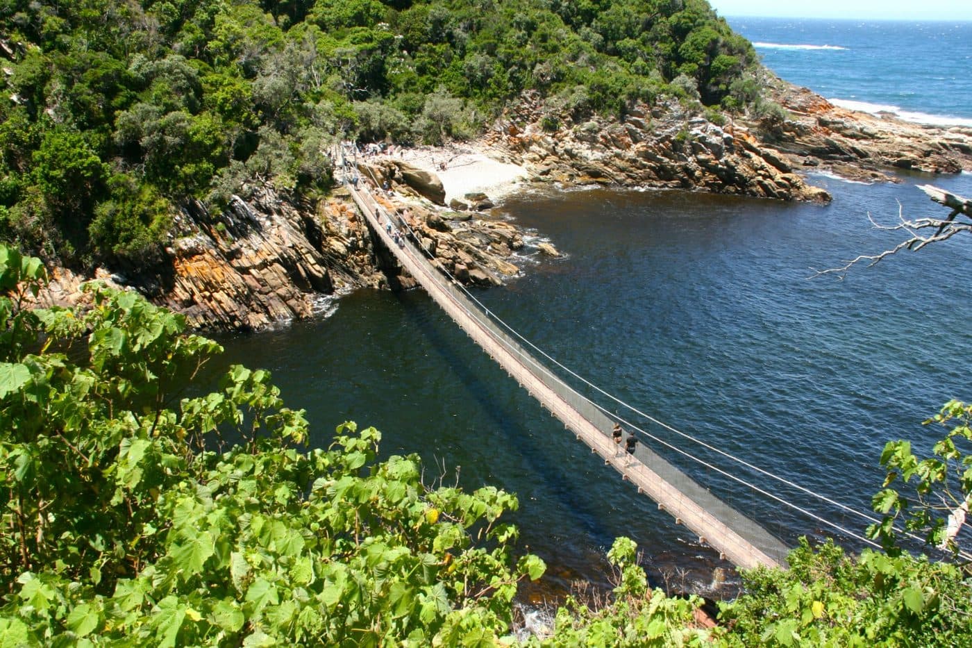 Tsitsikamma Forest & Storms River Suspension Bridge in Garden Route