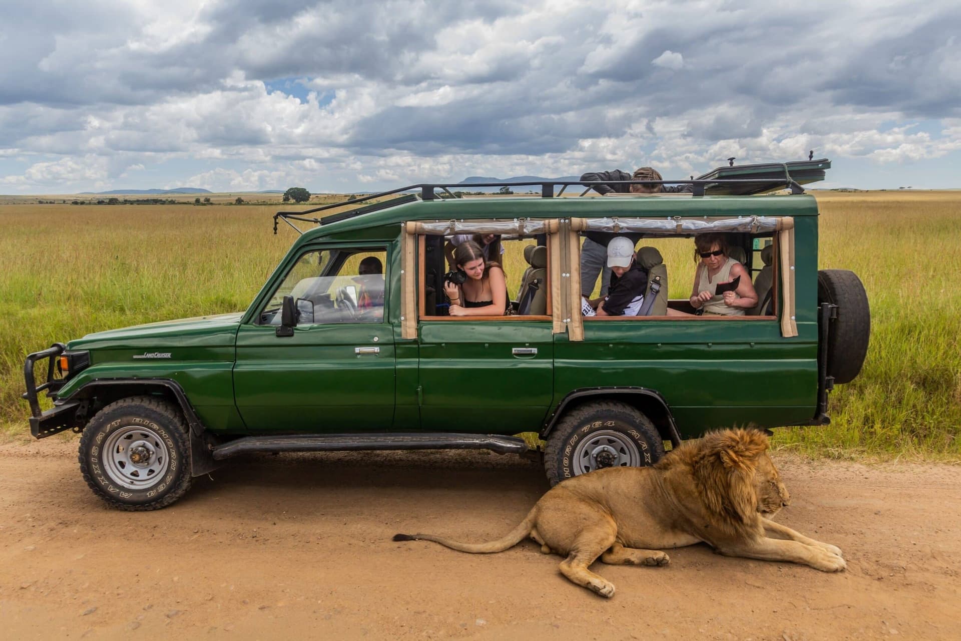Safari vehicle on a private conservancy game drive beside a lion, Masai Mara, Kenya
