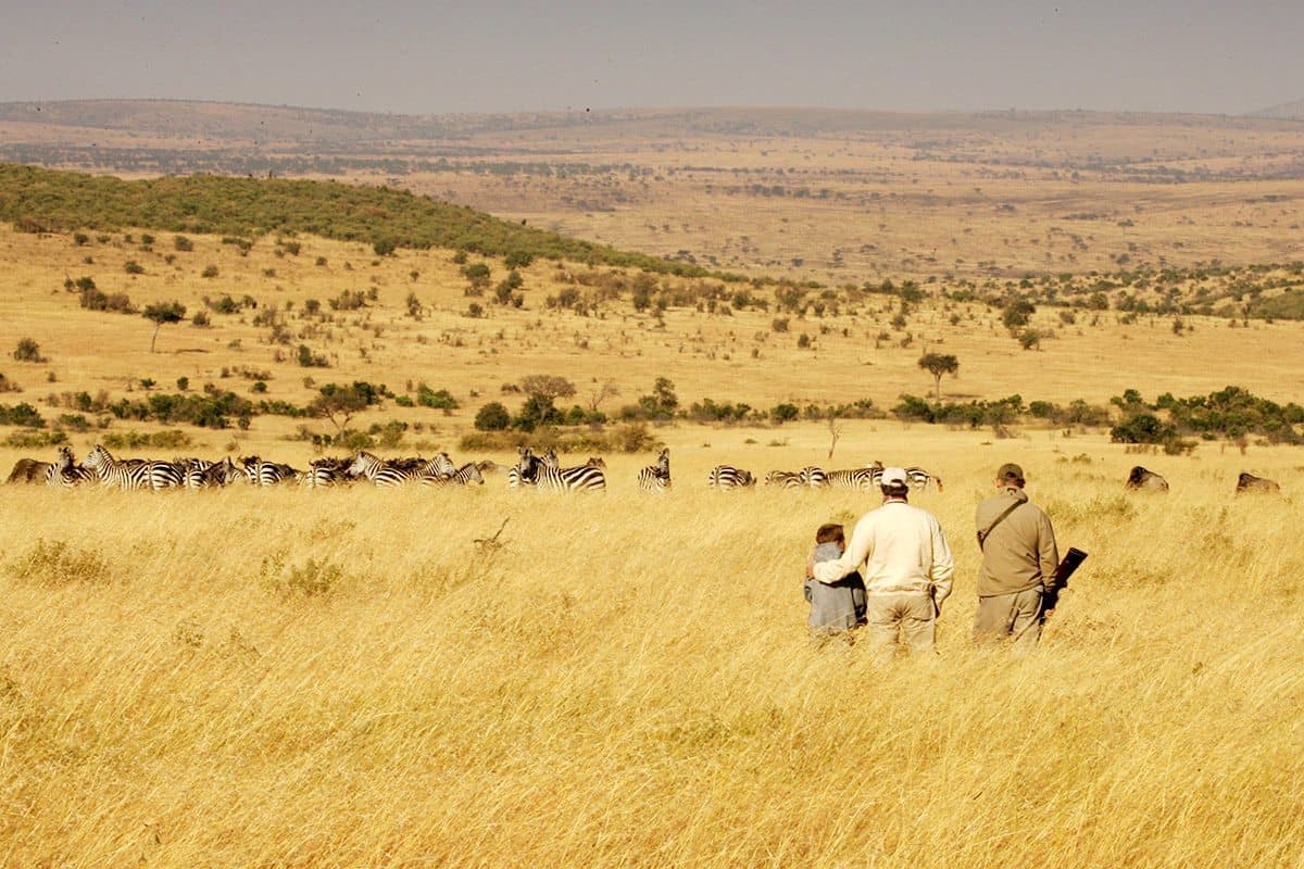 Walking safari with Maasai guides in a Masai Mara conservancy, Kenya